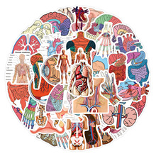 60张跨境新款人体解剖学个性涂鸦贴纸行李箱水杯滑板车贴纸批发