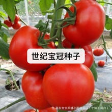 ���o���ڷ��� �N�Ӹ߮a�ļ����߲��N�߲˷N�����ԷN�ӷNֲ