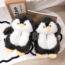 ���Z����ЬŮ����ë�q�Ҿ���H���ë�ϼҾ��҃��¿�ɐ�ë�CЬ