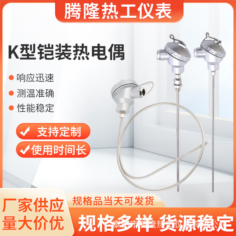 K-type armored thermocouple WRNK-131 temperature sensor probe PT100 thermal resistance assembled thermocouple K-type armored thermocouple WRNK-131 temperature sensor probe PT100 thermal resistance assembled thermocouple