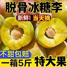 �Ĵ�Ó��������߅�t��t�������������rˮ��