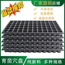 育苗盘穴盘秧盘托盘批发育苗盘加厚型蔬菜育苗盘PVC草莓热卖厂家