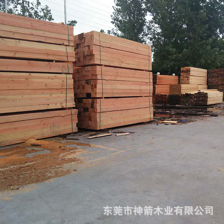 ��������ľ�� ������ľ�� ѡ��ݸ��� ����ʸ� ������