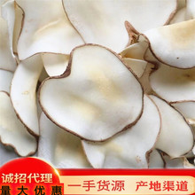 一手货源 海底椰 海底椰片 厂家直批 诚招代理 各类海味干货
