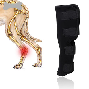 Dog Leg Protectors, Dog Leg Injuries, Anti-Licking Arthritis Fixed Recovery Straps, Dog Leg Protectors, Pet Supplies