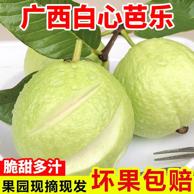 Гуанси кремово-белое сердце гуавы, мягкое сердце, мягкие клейкие свежие фрукты для беременных женщин, твердые хрустящие сладкие фрукты с куриными калами, оптовая продажа