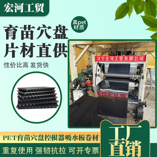 Pet Seedling Tray Thickened Seedling Agricultural Cultivation Tray Watermelon Seedling Tray Sheet Raw Material Manufacturer