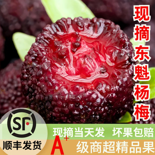 26�����r��÷�r�������������ЋD�ɳ����÷̿÷ݩ�j��ϗ�÷