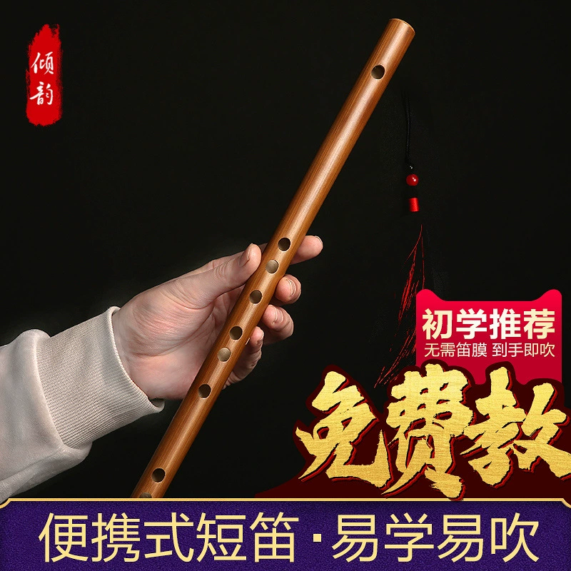 Small musical instruments for elementary school students for beginners for adults