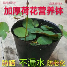 加厚黑色塑料荷花盆 水盆 碗莲盆 莲花盆 无孔营养钵 荷花营养杯