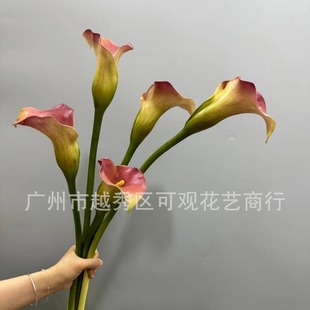 ���^����PU��̖�����ָ��R��ɏ���滨�ҾӲ廨�Ƶ�����b[�O