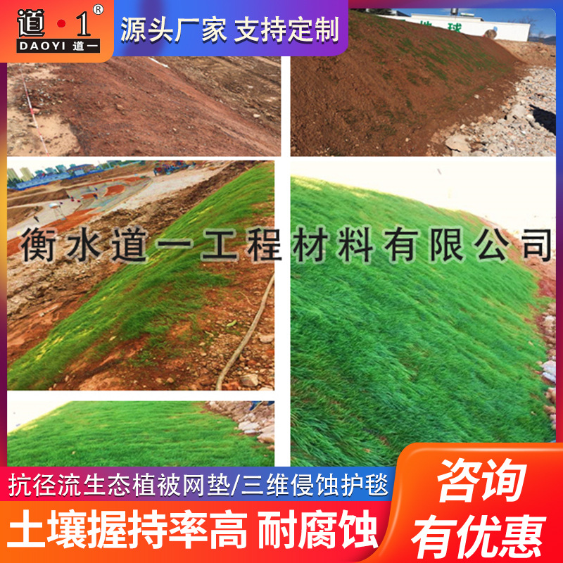 厂家现货植被边坡绿化绿色pe塑料三维网土工网垫EM2/3三维植被网