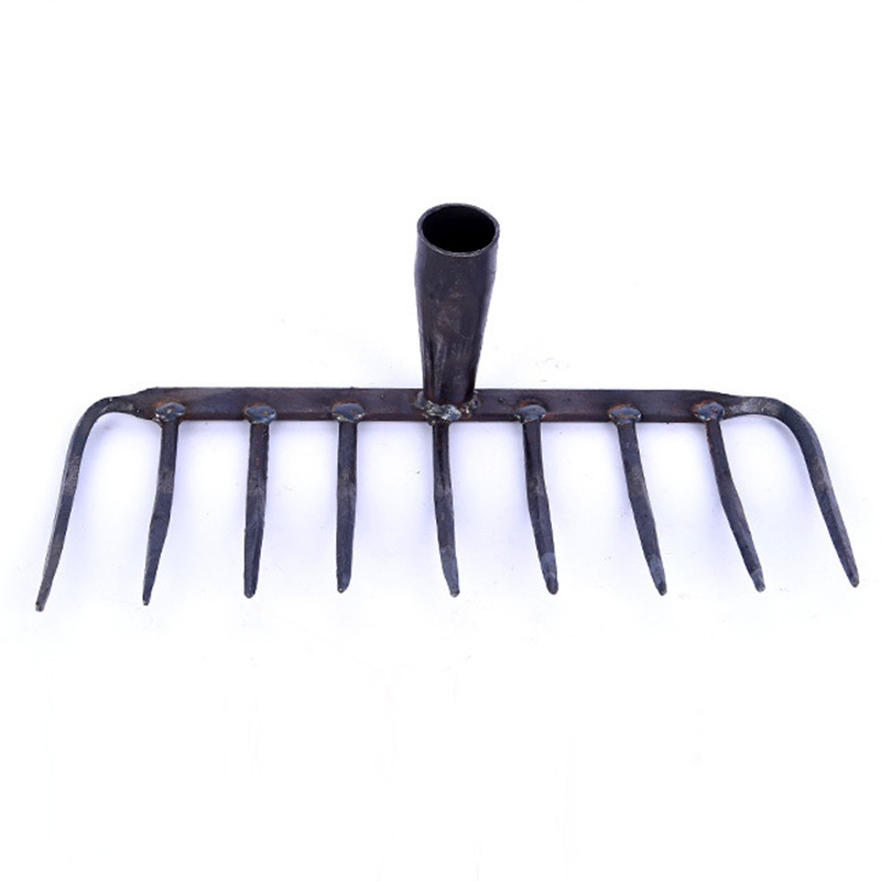 9000158433_350062380