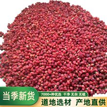 野生野生红豆杉果子泡水泡酒果实干500g红豆果子干果种子好货真货