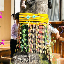 ���diy�׃��@����ë�����íh���b��υ^��������ë�������p��