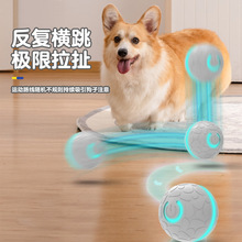 �羳��������������늄ӳ��؈��������ˌ��ﹷ�������������