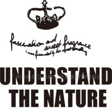 植毛烫画 植绒烫画 英文植绒烫画 来图做植绒