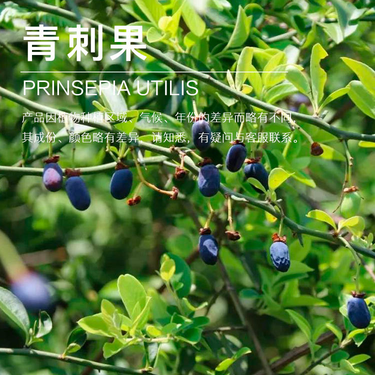 ���ҹ�Ӧ ��̹���  ��ե��̹� �����ͳ�������  ��ӭ�ɹ�