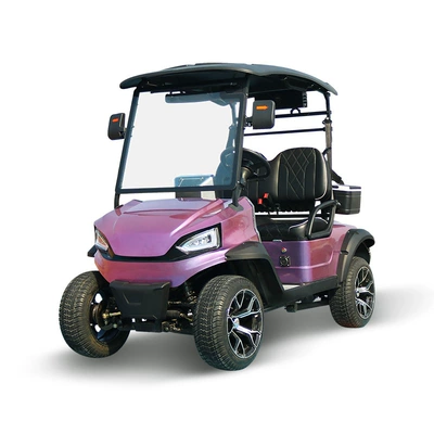 Elektrikli qolf avtomobilləri Sightseeing Vehicle for Tourist Areas - customized-g-model-2-seats