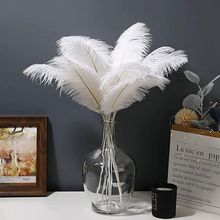 ����ë25-30cm��ɫ��ëĸ�׽���Ϧ�������insͷ���������