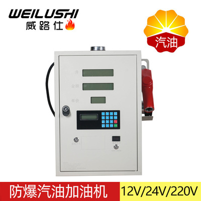 防爆汽油加油机小型车载加油机12V24V220V加油设备大流量抽油机器