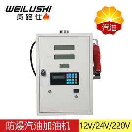 防爆汽油加油机小型车载加油机12V24V220V加油设备大流量抽油机器