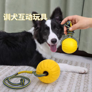 �����������ĥ���␞ӖȮ��������Ӗ���K��߅���д���Ȯ��ë�RȮ
