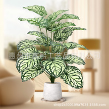 �羳�F؛�ٰl����Gֲ��ɫ�����҃ȿ͏d�ҾӔ[�O24�^���T�~