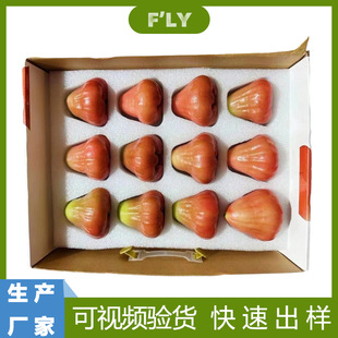 ɏ�F���b�����ރ��r��ʽˮ�������ڿכ_�ʹ��EPE���ރ���