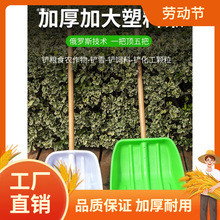 PӼӺ䓻@ѩ߶PüӌѩP