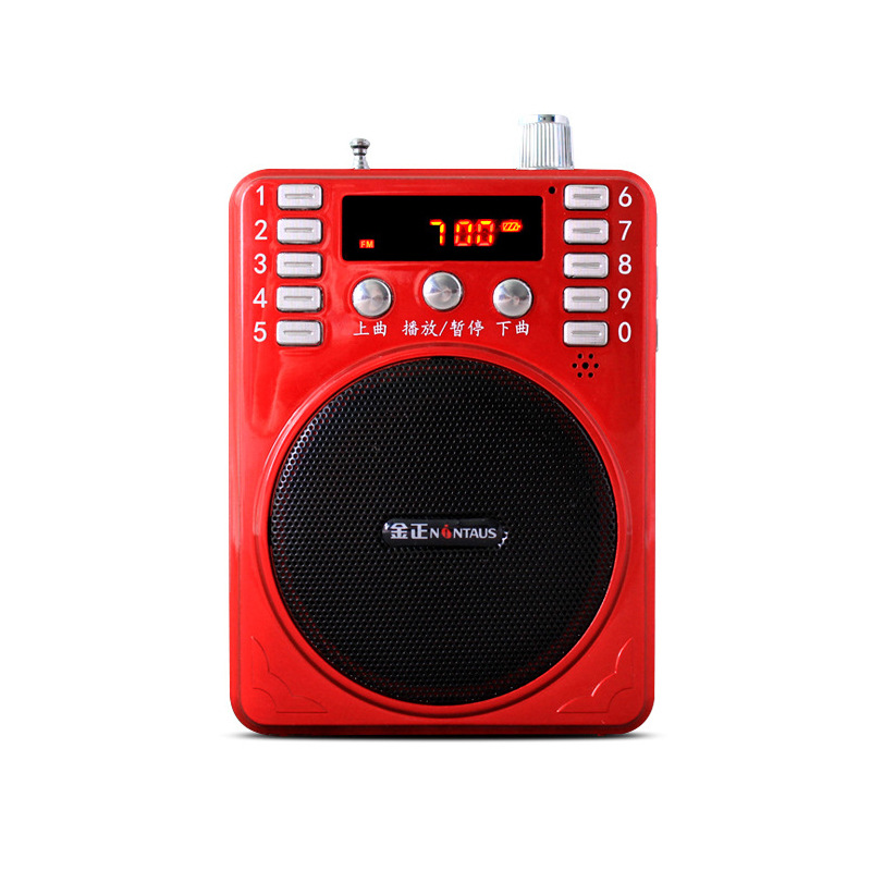 진정 K207B (이중 전기 녹음)