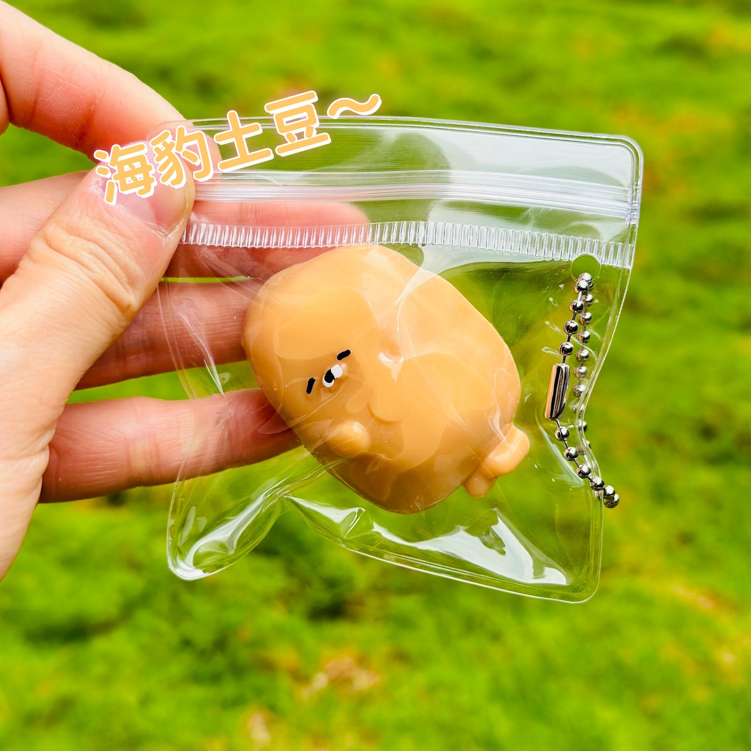 Seal potato little nose
