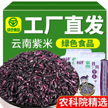 云南墨江紫米血糯米新米包粽子糯米紫粗粮米黑米紫米商用整箱批发