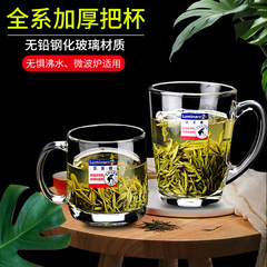 批發鋼化玻璃杯家用大容量把手茶杯帶把泡茶喝水杯男士耐熱水杯