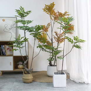 ����Gֲ���٘����ֲ�﹤�Sֱ�ۼҾ������̨���^����b�����