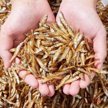 渔民自晒小鱼仔白公鱼干渔民自晒小鱼干淡水无盐 猫