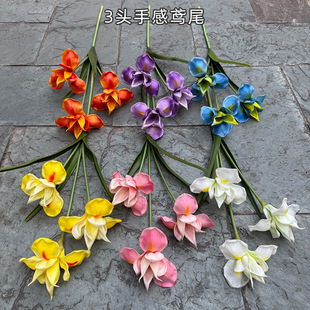 �羳��ƷPU���滨�S�� 3�^�ָ��Sβ ���@�L��Y�Ҿ�ܛ�b�ٻ����l