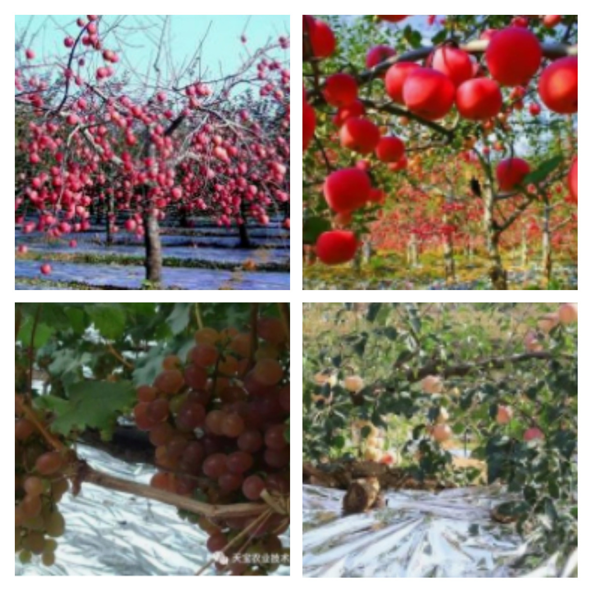 迅捷图片转换器-202275-1656991525872.p