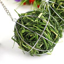兔子草球 可悬挂喂食草料架荷兰猪龙猫电镀不锈钢草架球 兔子草架
