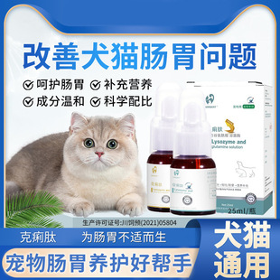 Barrbert Dysenteric Peptide 25ml Liquid Glutamine Dog and Cat Gastrointestinal Health Nutrition Supplement Wholesale