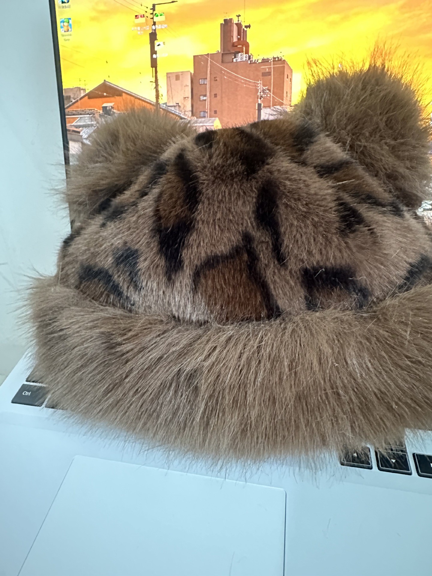 커다란 갈색 꽃