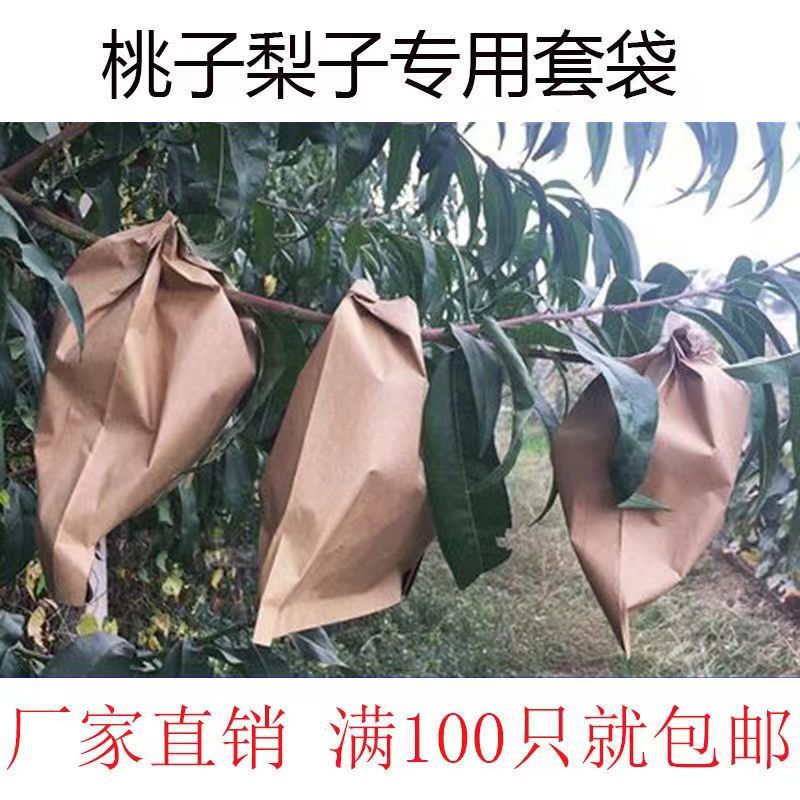 微信图片_20250214152017