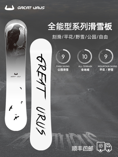 Professional ski board for adults carbon fibre
