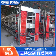 蛋鸡多层捡蛋机层叠鸡笼设备全自动捡蛋自动化养鸡鸡舍自动捡蛋机