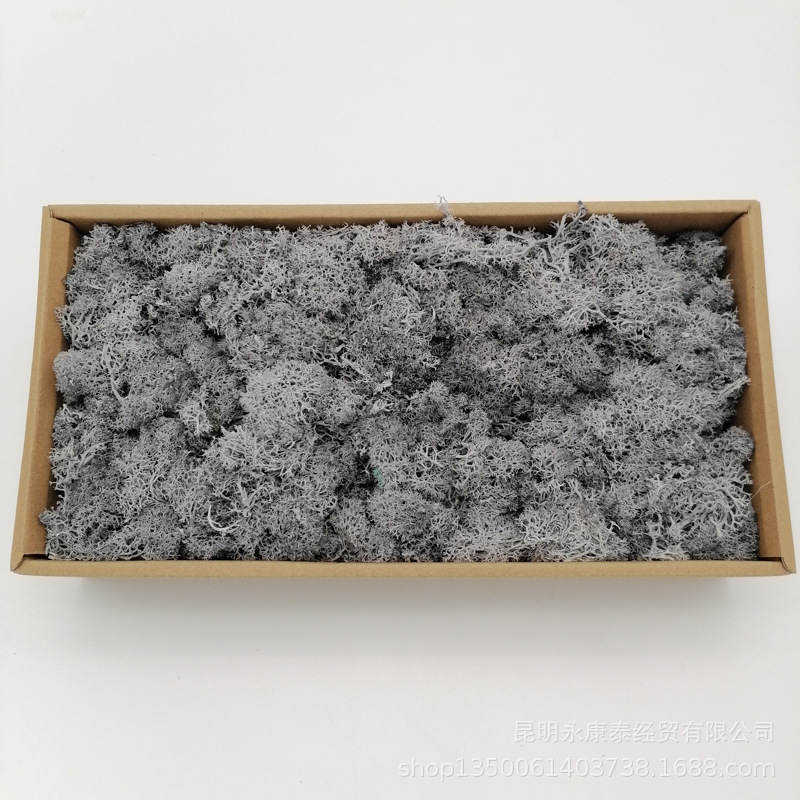 Musgo al por mayor de musgo peso neto 200g caja de regalo flores de musgo eternas accesorios para el hogar tiro ventas directas de la fábrica