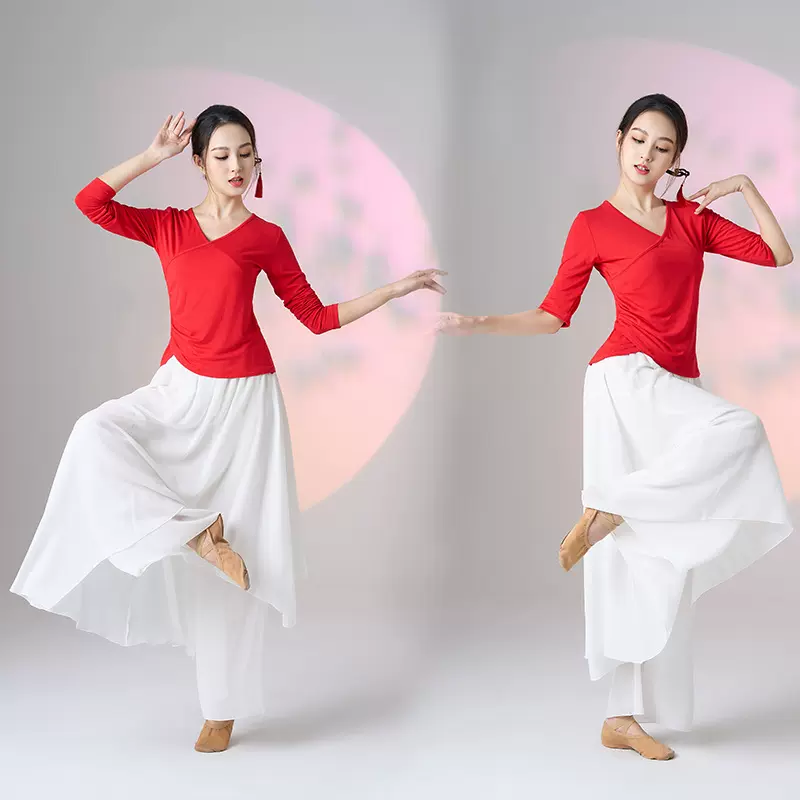 古典舞蹈服套装飘逸民族舞练功演出舞蹈服广场舞新款莫代尔上衣