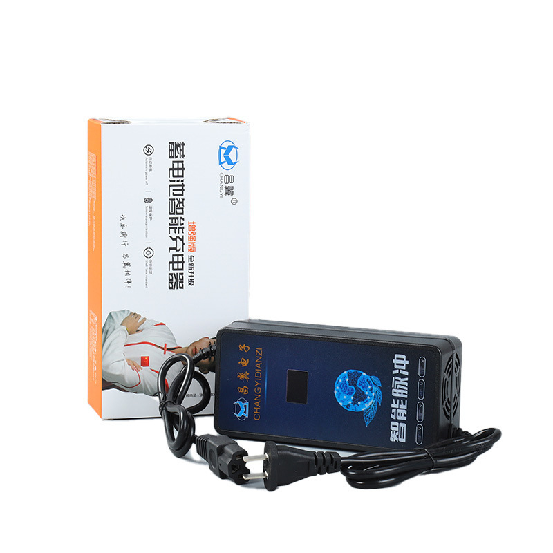 電気自動車充電器 60V20Ah バッテリー車のバッテリーパルス充電器 Xinri Yadi Emma はすぐにシャットダウンします|undefined