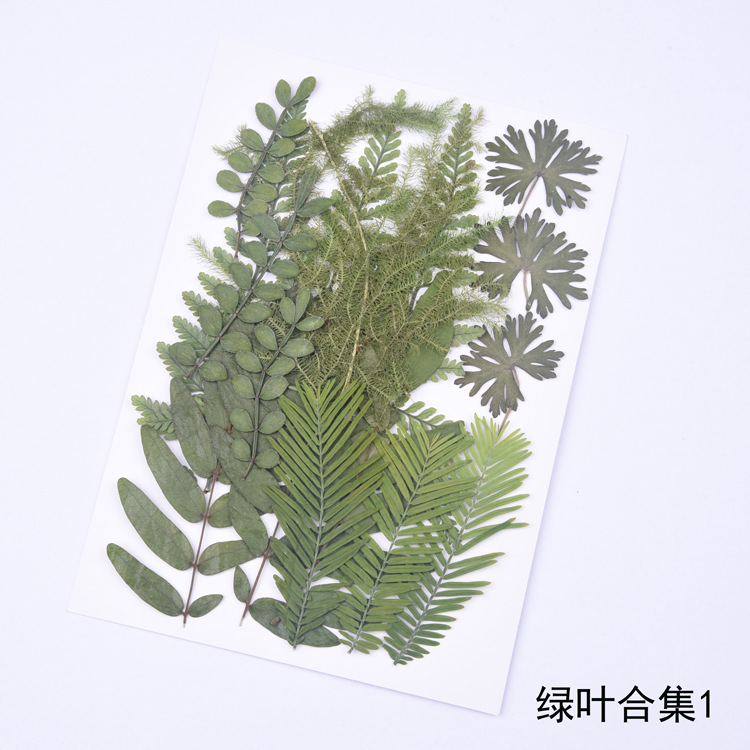 초록 잎 수집 1 (잎 재료 6 개, 합계 18 장)