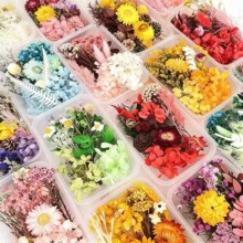 �������ɻ��ֹ��������ƿ���ϰ����h�ɻ���ľ�����bS�����l