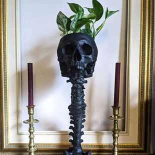 Amazon Explosions Skull Planter & Spine Stand Sets Flower Pot Skull Spine A24